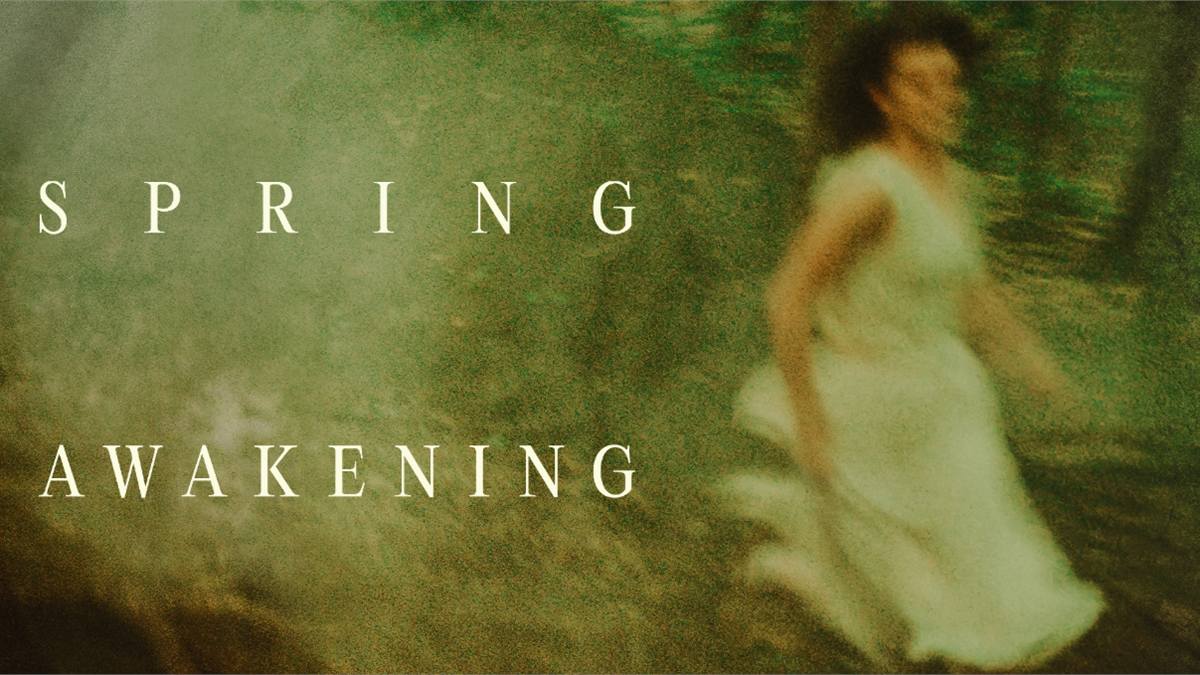 Spring Awakening key art for the Studio Seaview production